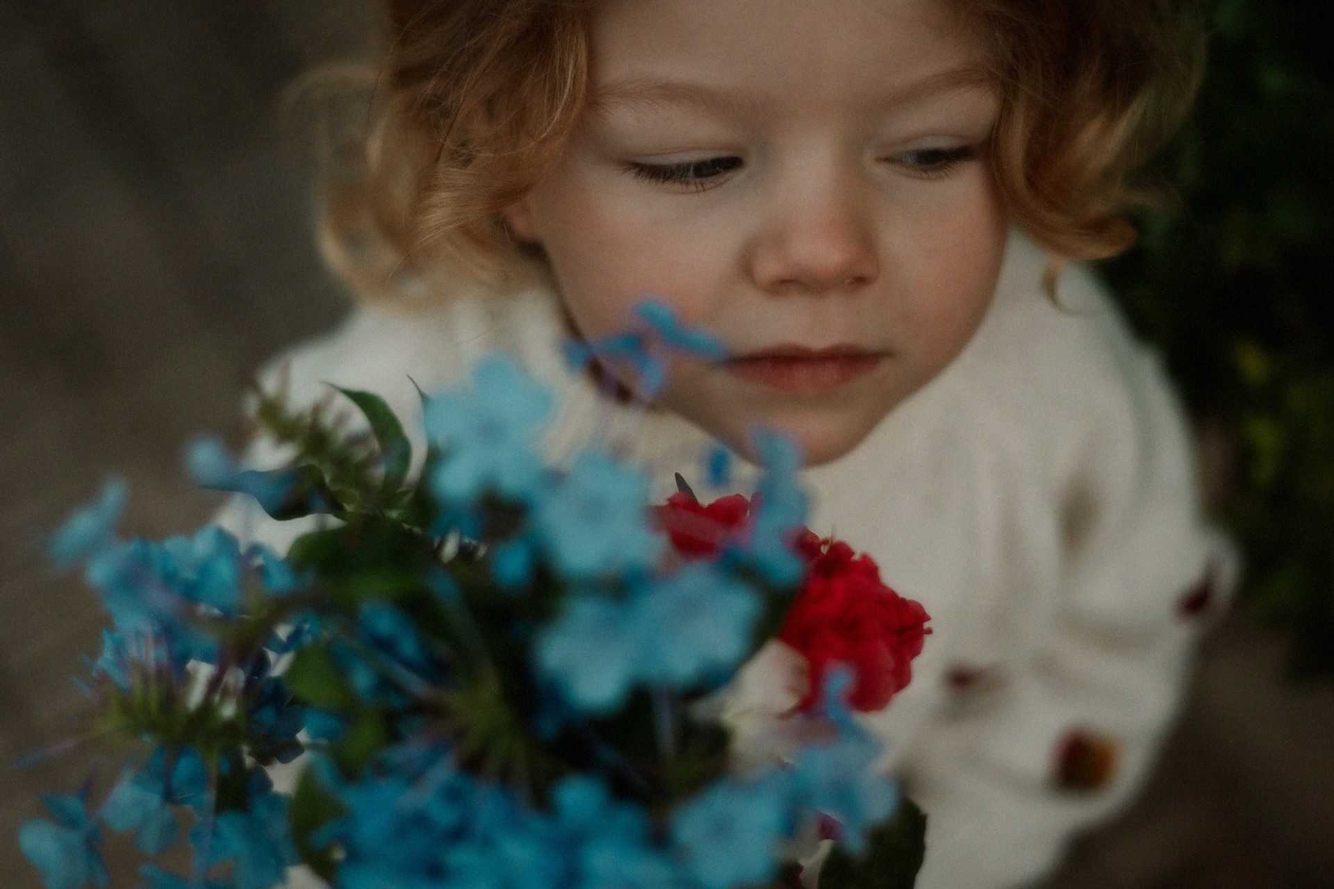 Meisje ruikt aan blauwe en rode veldbloemen
