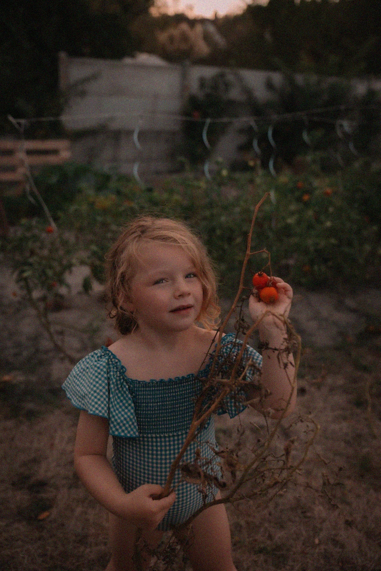Meisje in blauw geruit zwempak houdt tomaten aan een tak vast in een moestuin